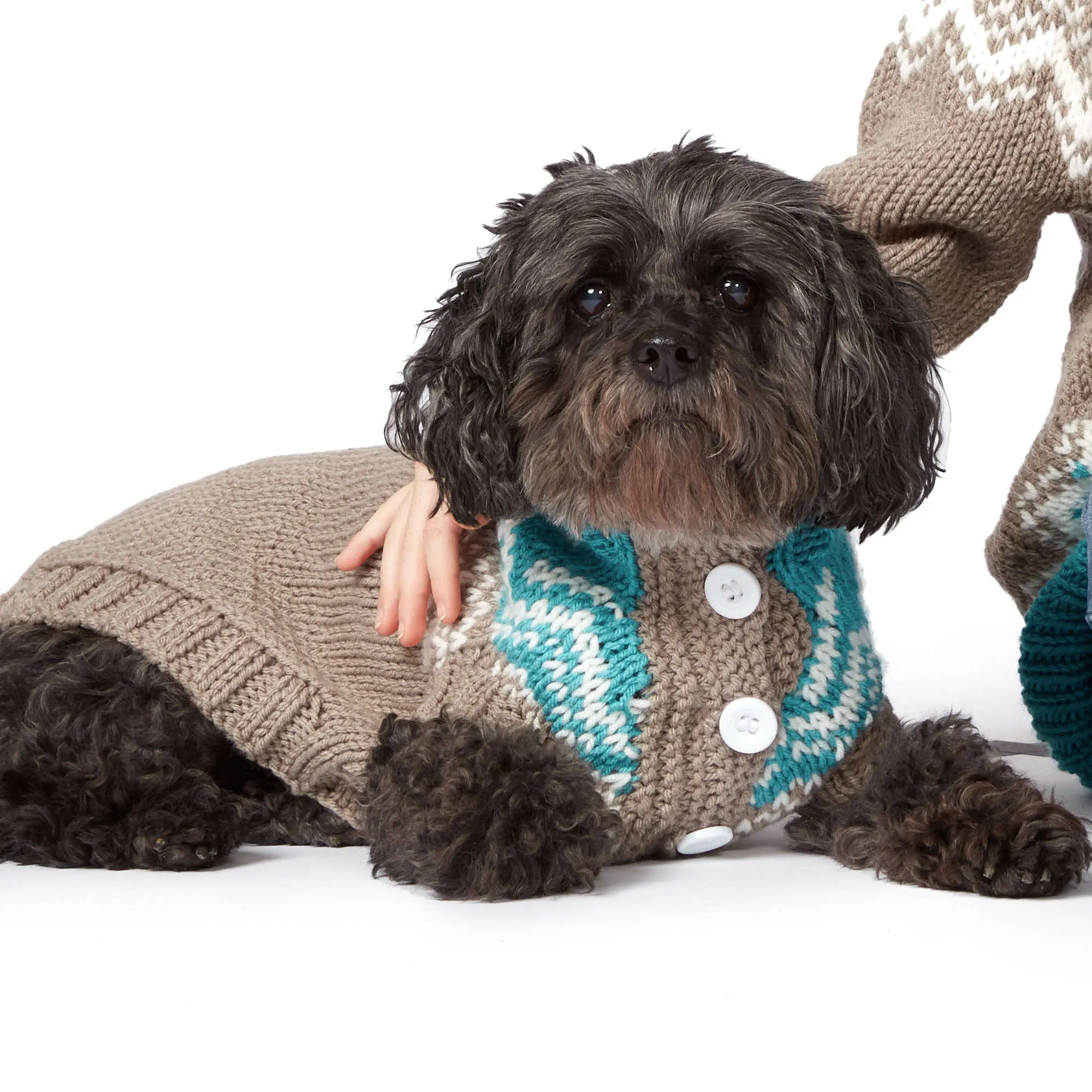 Bernat Fair Isle Knit Dog Coat