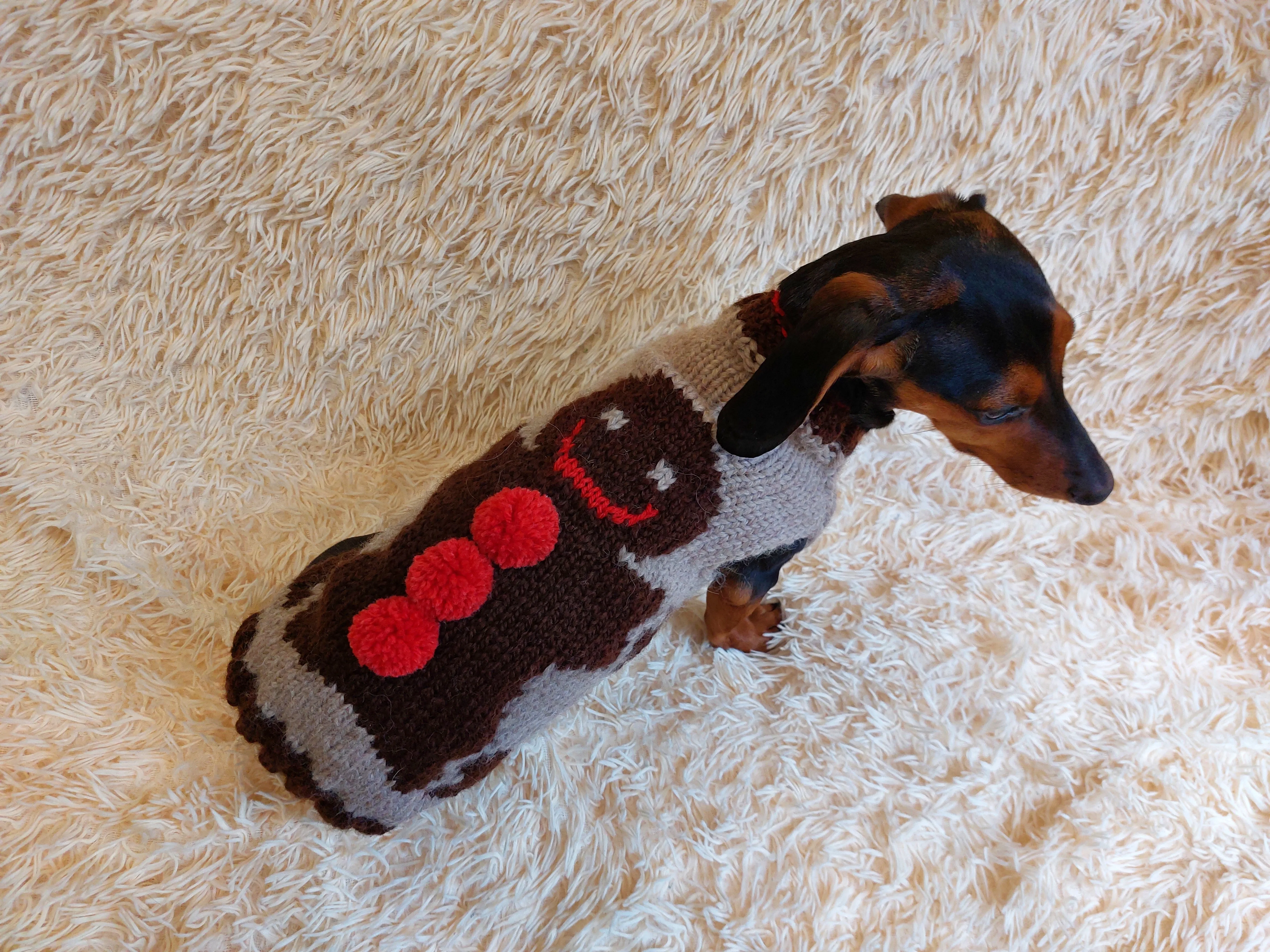 Christmas party pet outfit biscuit jumper,dog clothes christmas sweater,christmas gift for dog lovers knitted sweater.