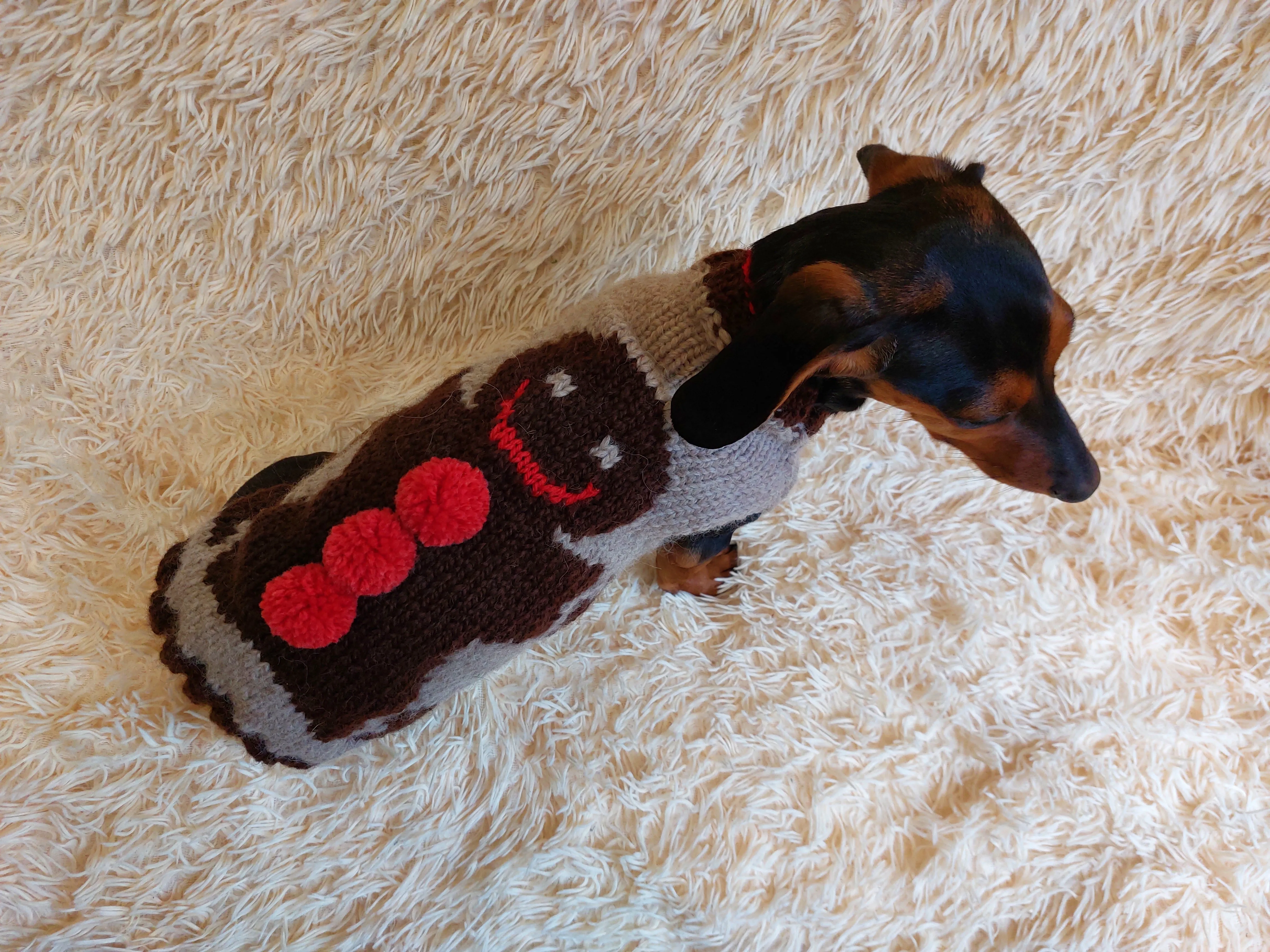 Christmas party pet outfit biscuit jumper,dog clothes christmas sweater,christmas gift for dog lovers knitted sweater.