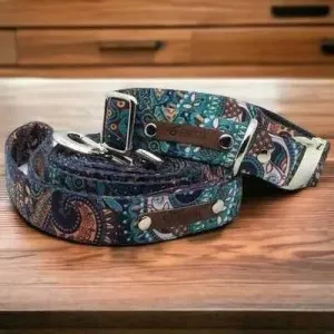 Dapper Doggo Delightful Collar Set