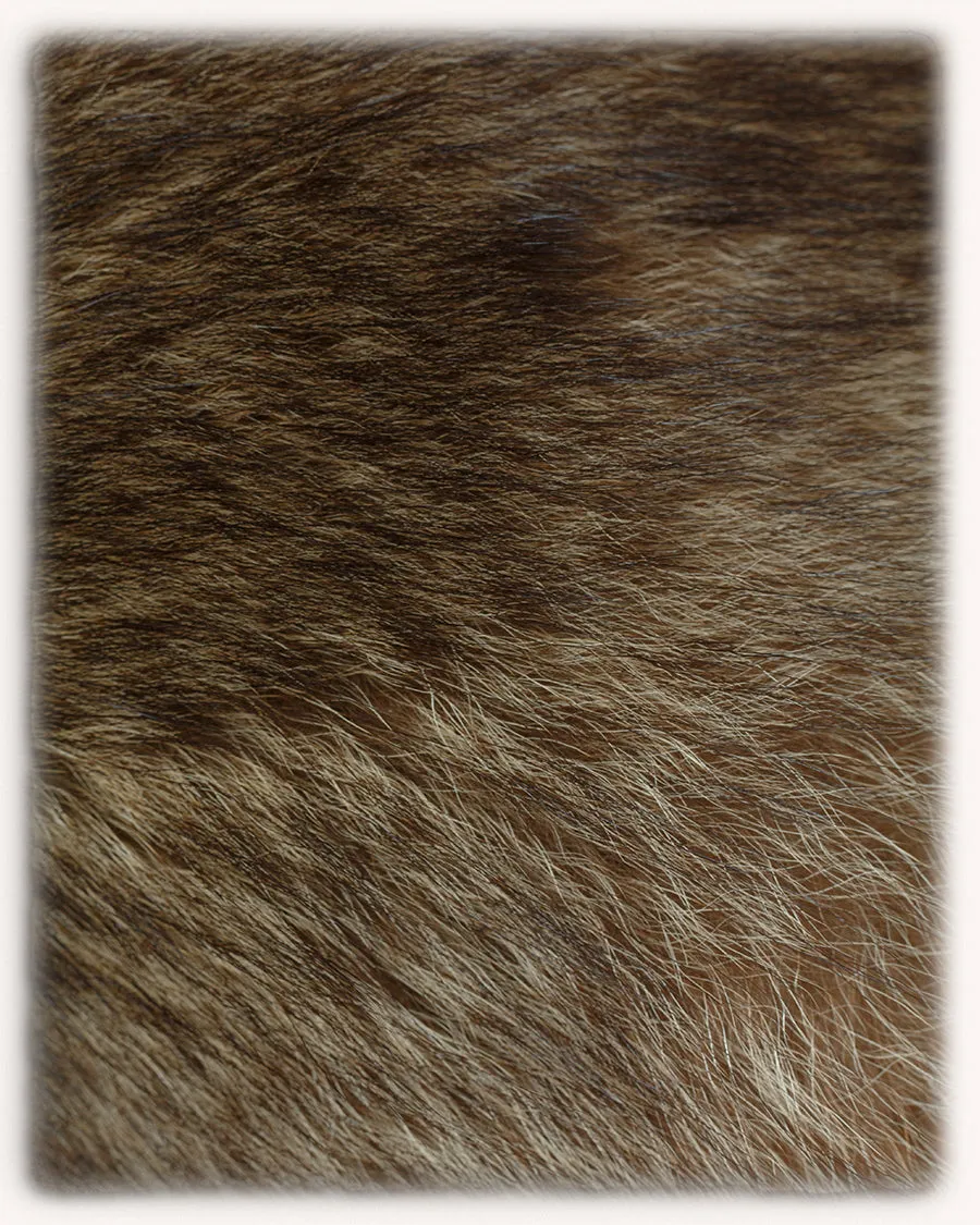 Elmar fur collar raccoon