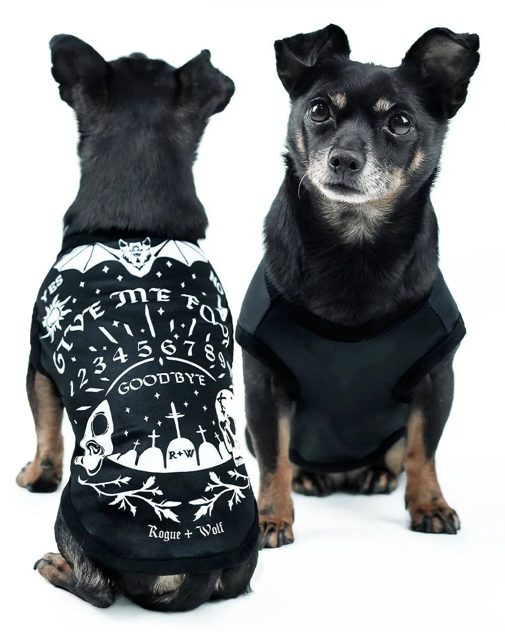 Give Me Food Ouija Pet Vest - Dog or Cat