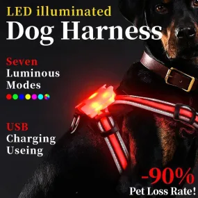 LED Luminous Dog Walking Vest