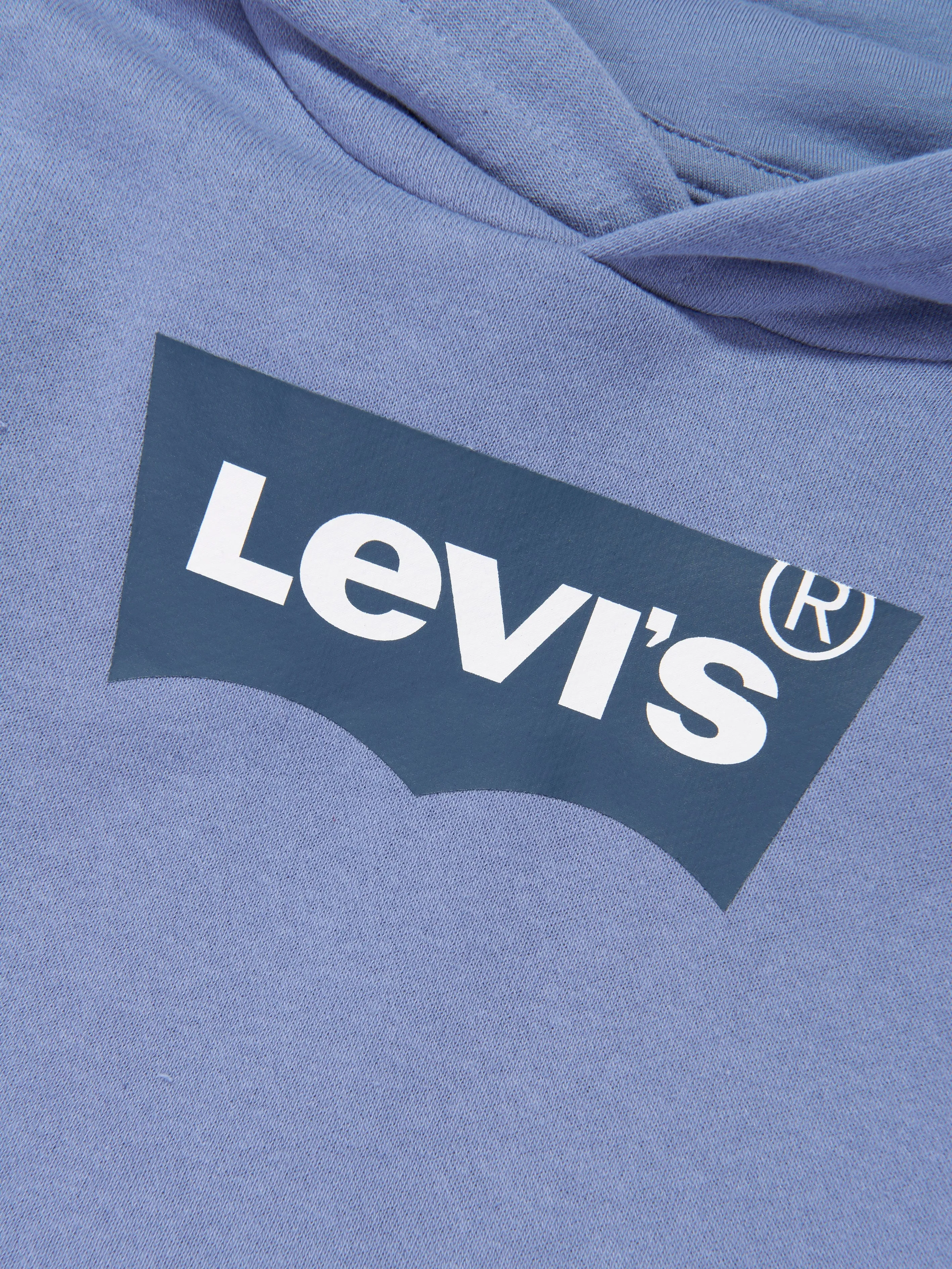 Levi's Boys Batwing Pullover Hoodie in Blue