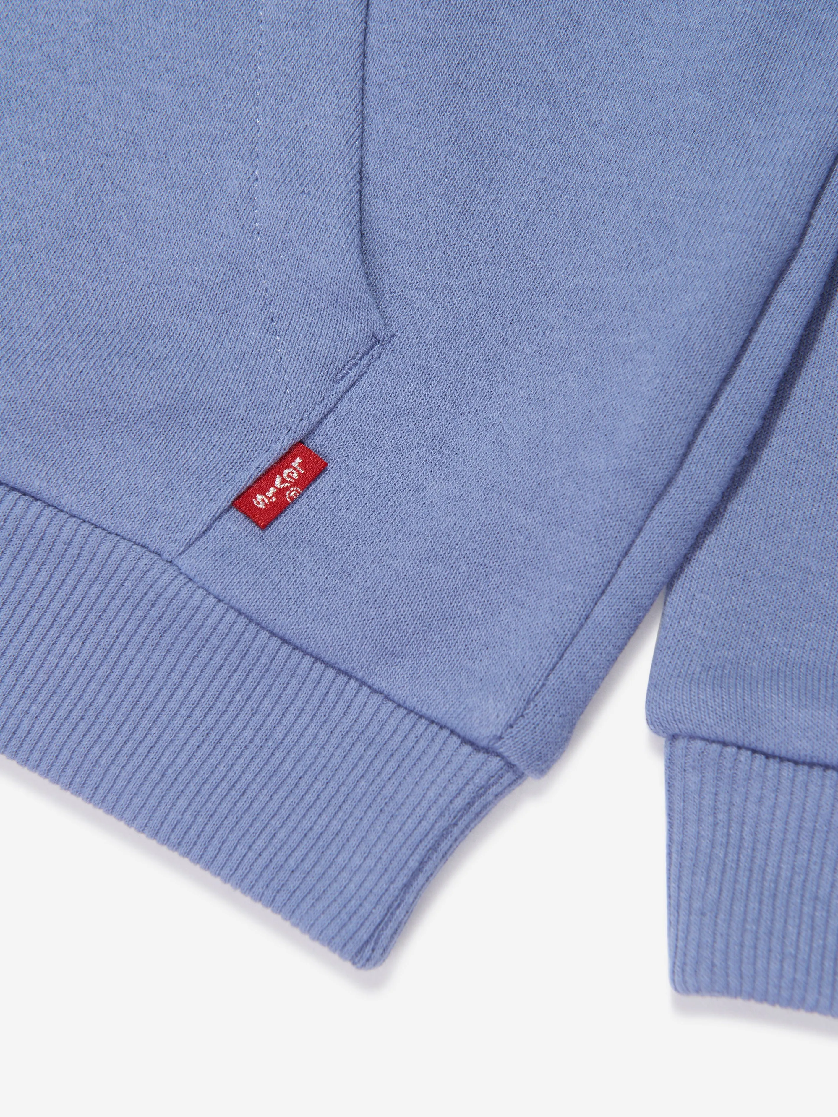 Levi's Boys Batwing Pullover Hoodie in Blue