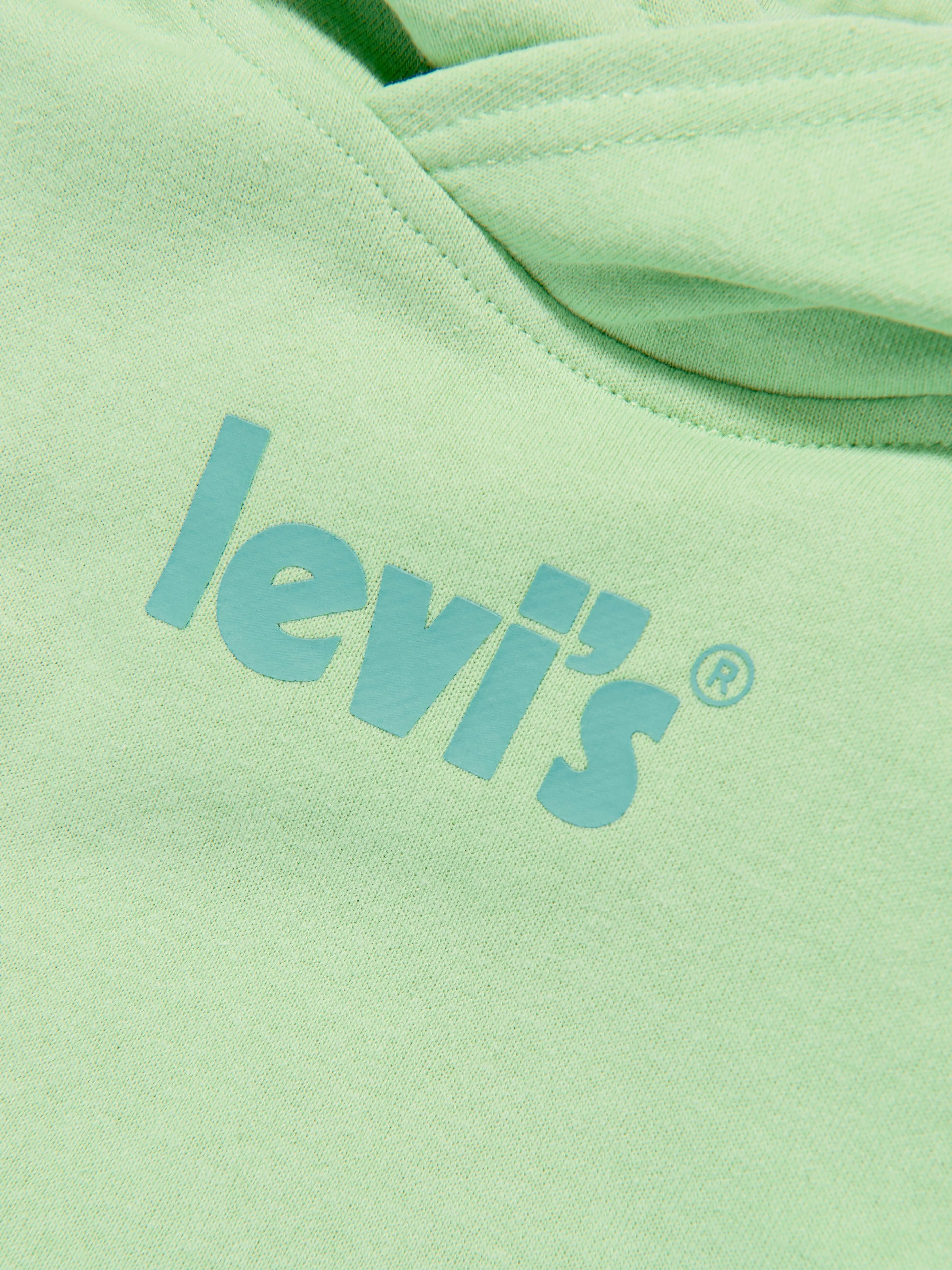 Levi's Boys Logo Pullover Hoodie in Green