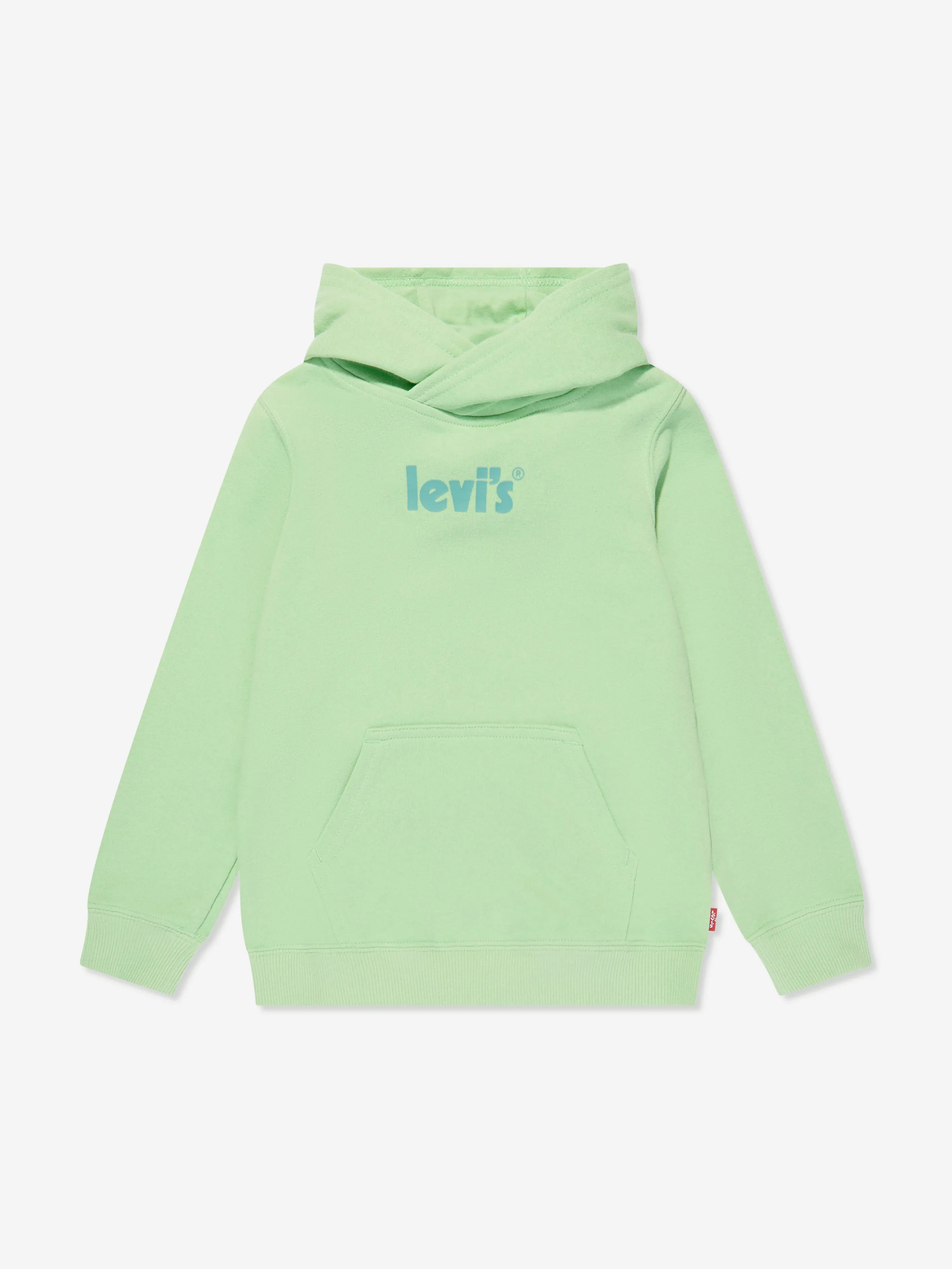 Levi's Boys Logo Pullover Hoodie in Green