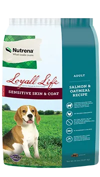 Loyall Life Sensitive Skin and Coat Adult Salmon and Oatmeal Dog Food