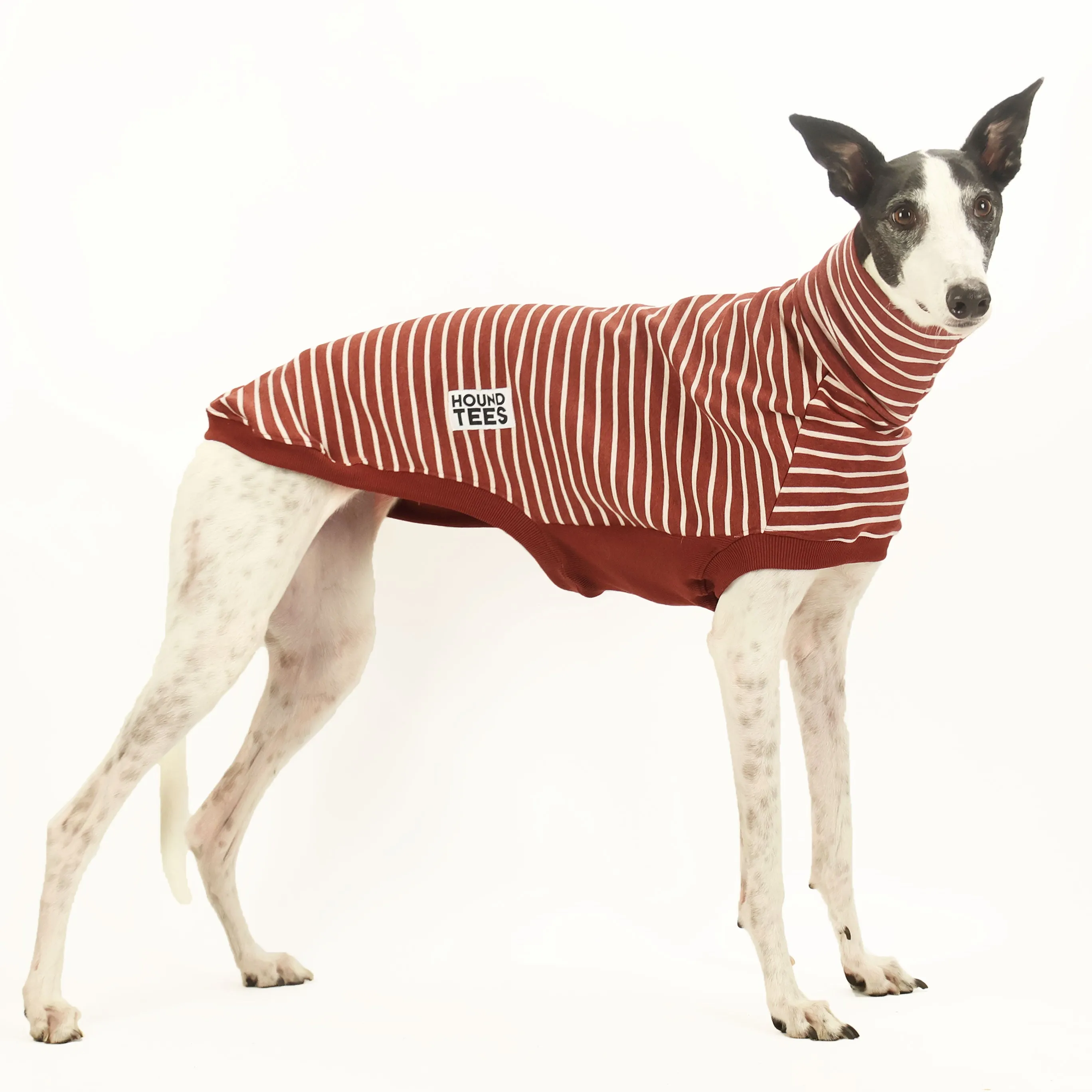 Mocha Greyhound Sleeveless Sweater