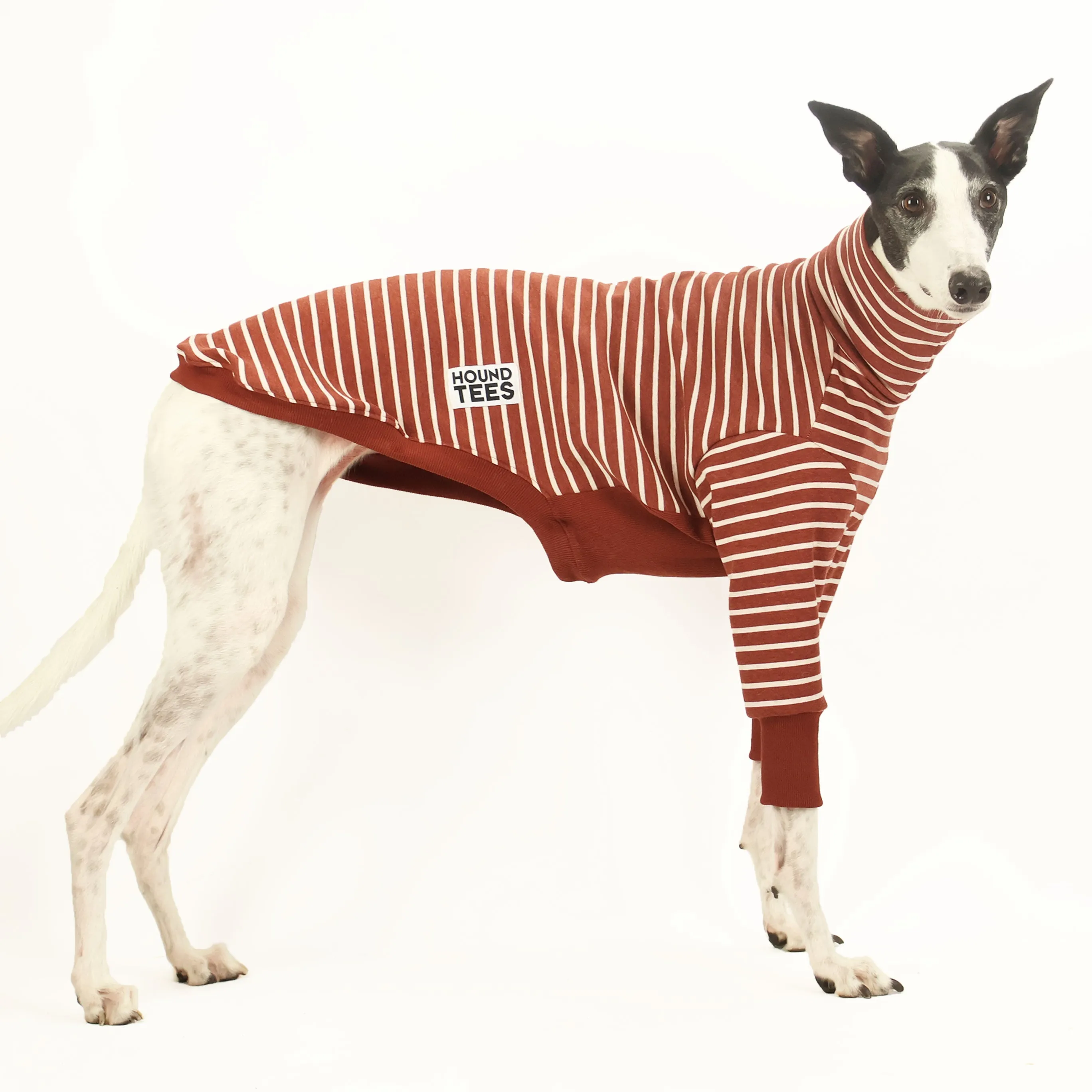 Mocha Greyhound Sweater