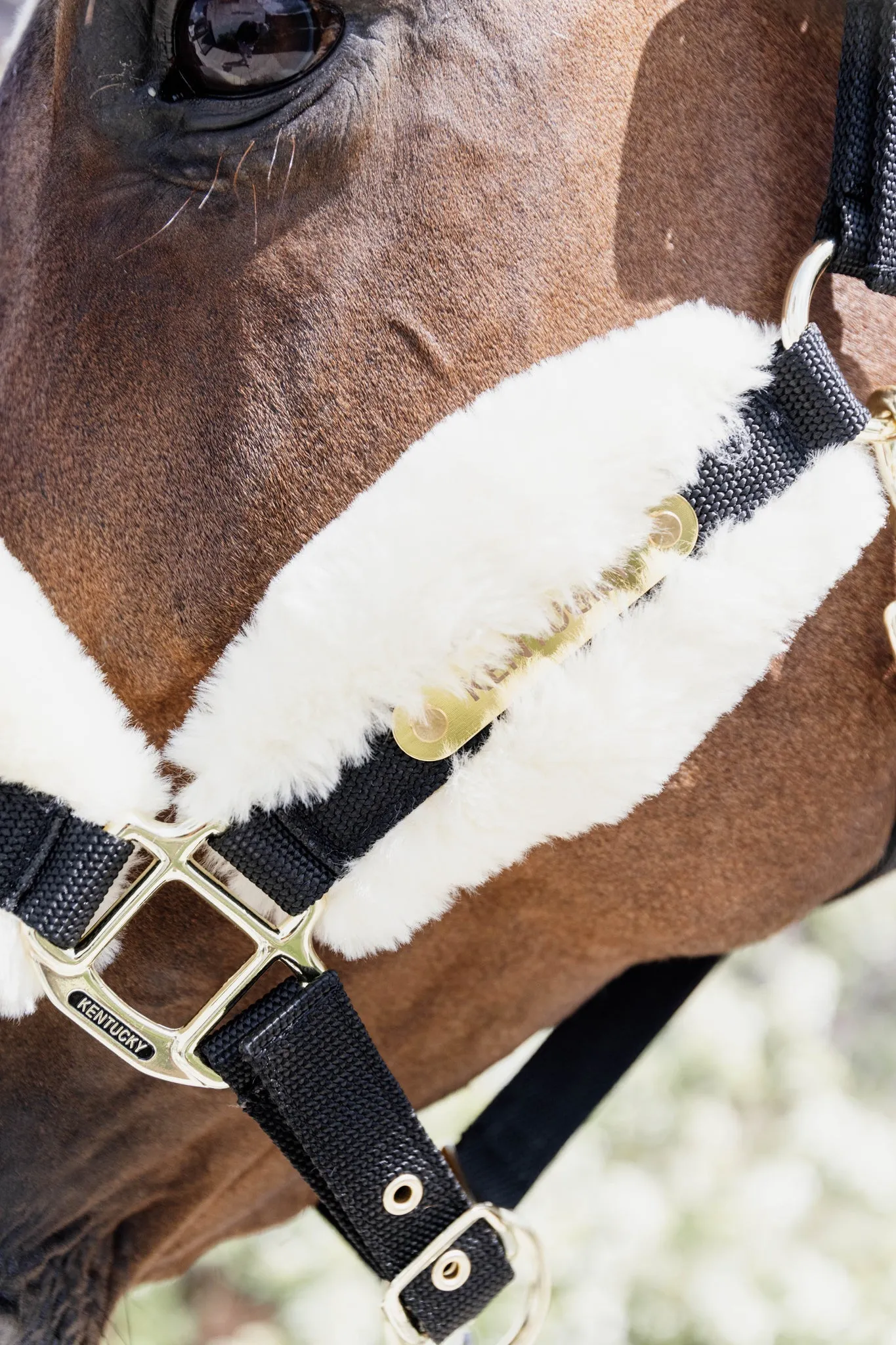 New Nylon Sheepskin Halter Soft