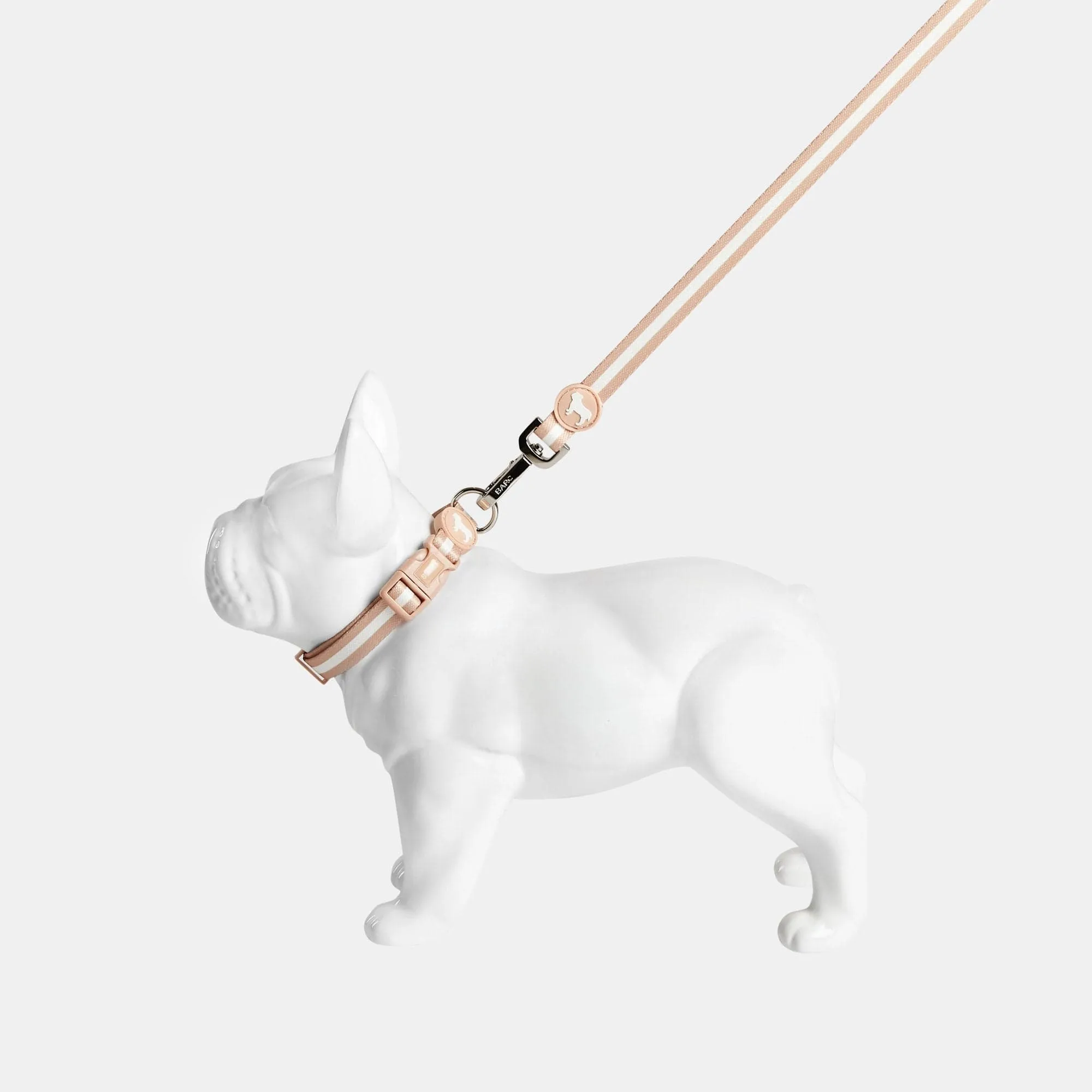 Nylon Fabric Dog Collar | Champagne Stripe