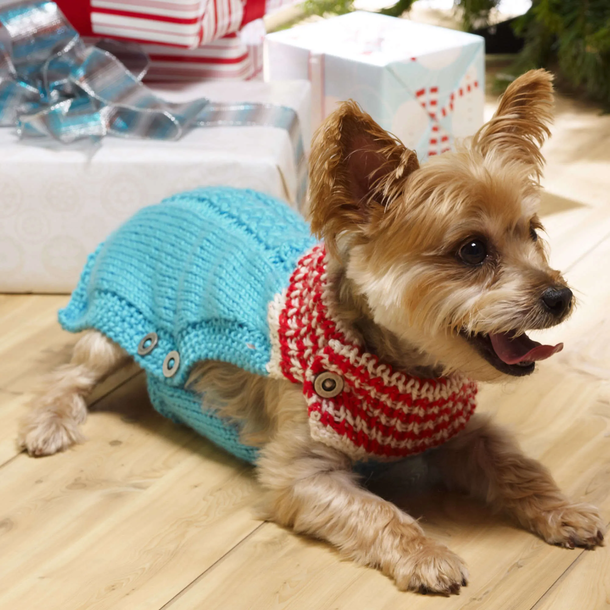 Red Heart Knit Holiday Dog Sweater