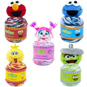 Sesame Street One Hat Wonder by Lion Brand